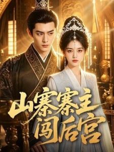 山寨寨主闯后宫