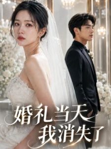 婚礼当天，我消失了