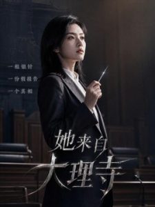 她来自大理寺