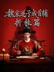 魏家逆子成首辅折桂篇